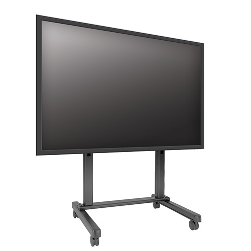 large video display