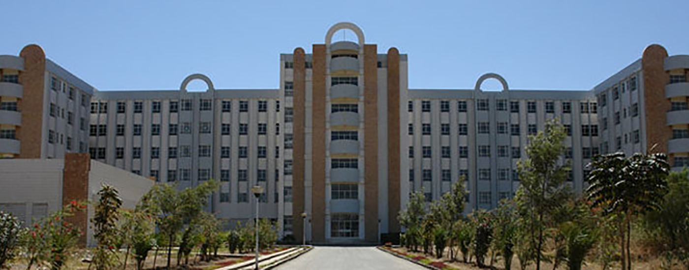 Mekelle Building