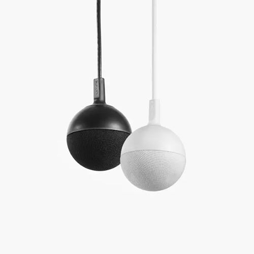 CeilingMIC_DUO